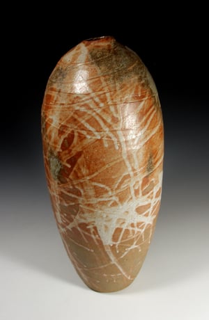 Shino carbon trap big bottle (e009)