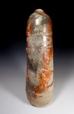 Shino carbon trap big bottle (e010)