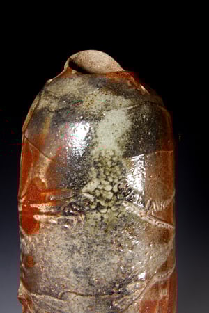 Shino carbon trap big bottle (e010)