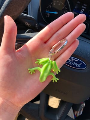 Frog Keychain