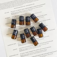 Image 2 of LARO Discovery Set