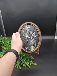 Image 2 of VICTORIAN SPIDER PEOPLE - real Preserved Web 9 