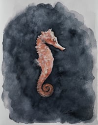 Seahorse