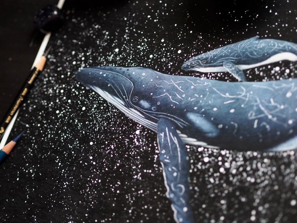 Guidance Mother Humpback Whale Fine Art Print