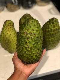 Organic Soursop (Guanabana) 