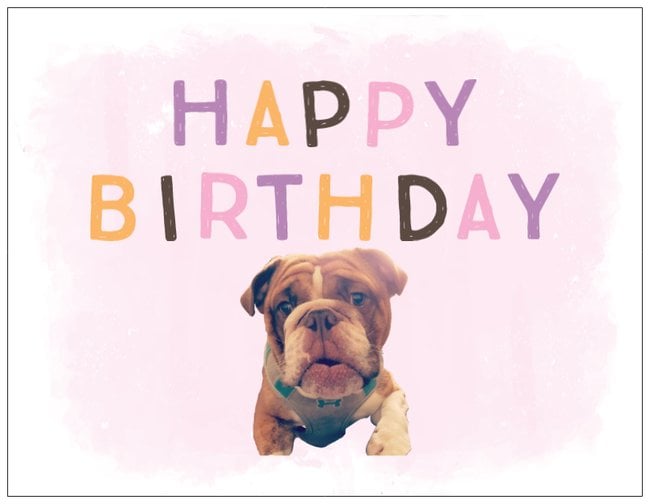 Image of Pink Birthday Cards