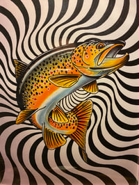 Image 2 of Framed Brown Trout Spiral Print 