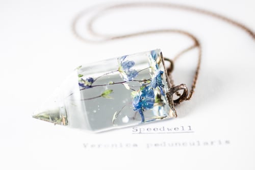 Image of Speedwell (Veronica peduncularis) - Small Copper Prism Necklace #2