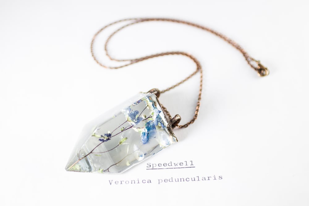 Image of Speedwell (Veronica peduncularis) - Small Copper Prism Necklace #2