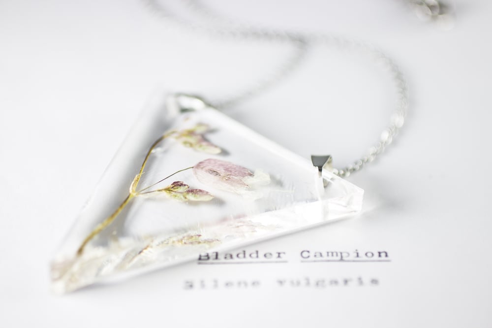 Image of Campion (Silene vulgaris) - Triangular Pendant #1