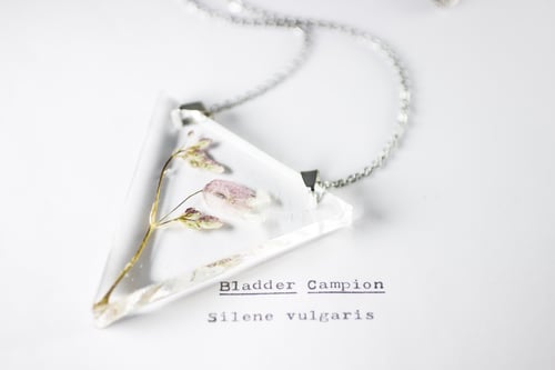Image of Campion (Silene vulgaris) - Triangular Pendant #1