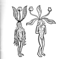 Image 14 of Le Sang et la Rose #3