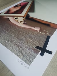 Image 2 of 'The Pitfalls Of Pleasure'