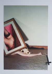 Image 1 of 'The Pitfalls Of Pleasure'