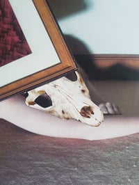 Image 4 of 'The Pitfalls Of Pleasure'
