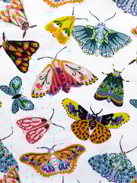 Image 2 of Butterfly Tea Towel