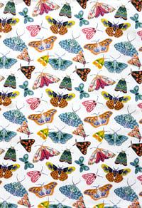 Image 1 of Butterfly Tea Towel