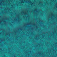 Image 3 of Leptoseris Coral Print Triptych (Open Edition)