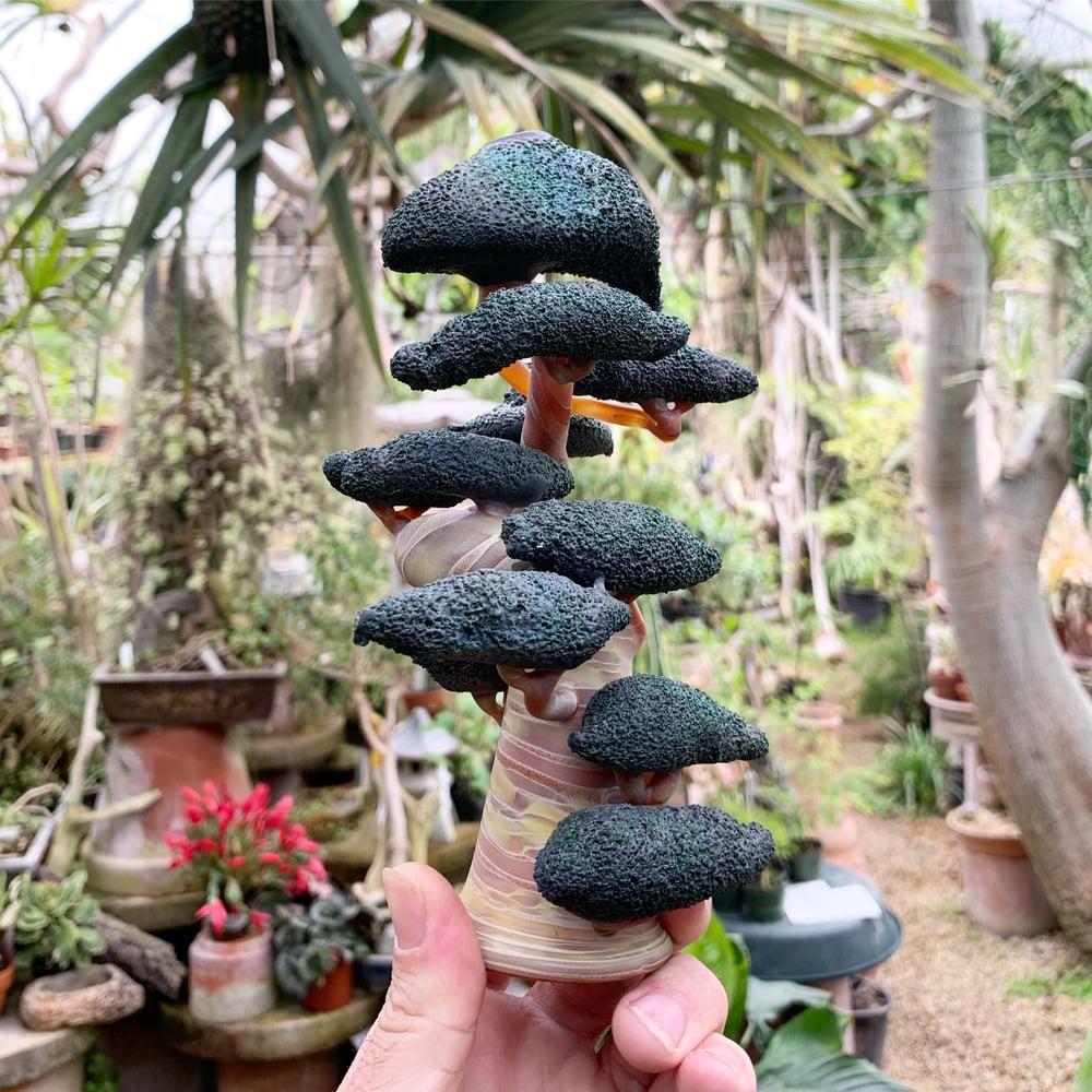 Functional Bonsai Sculpture #2 