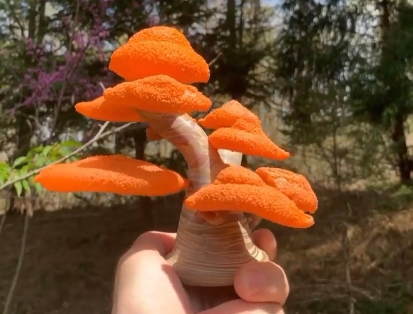 Bonsai Sculpture #3 