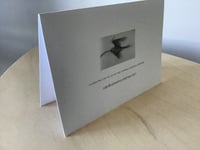 Image 3 of Curlew Cards - 5 card pack