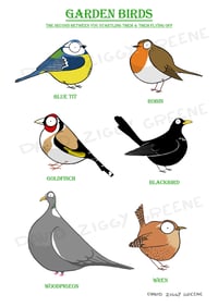 Image 1 of Garden Birds print