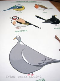 Image 2 of Garden Birds print