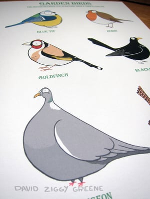 Garden Birds print