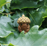 Image 2 of Acorn Baby.