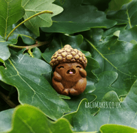 Image 1 of Cry Baby Acorn.