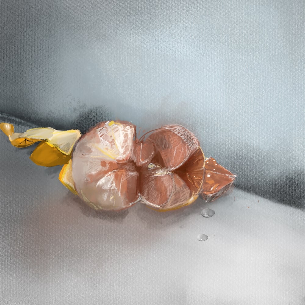 Image of Juicy Citrus