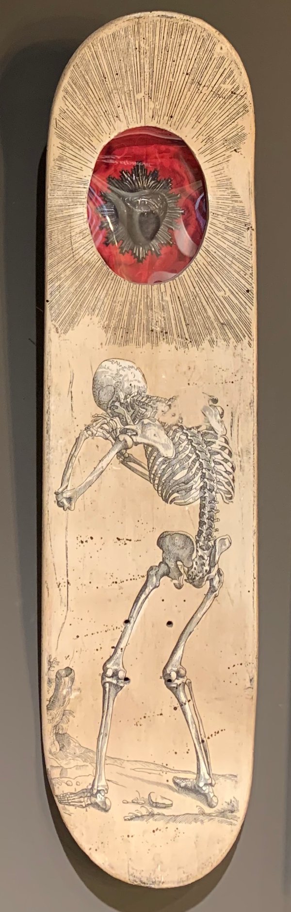 Image of Skeleton skate