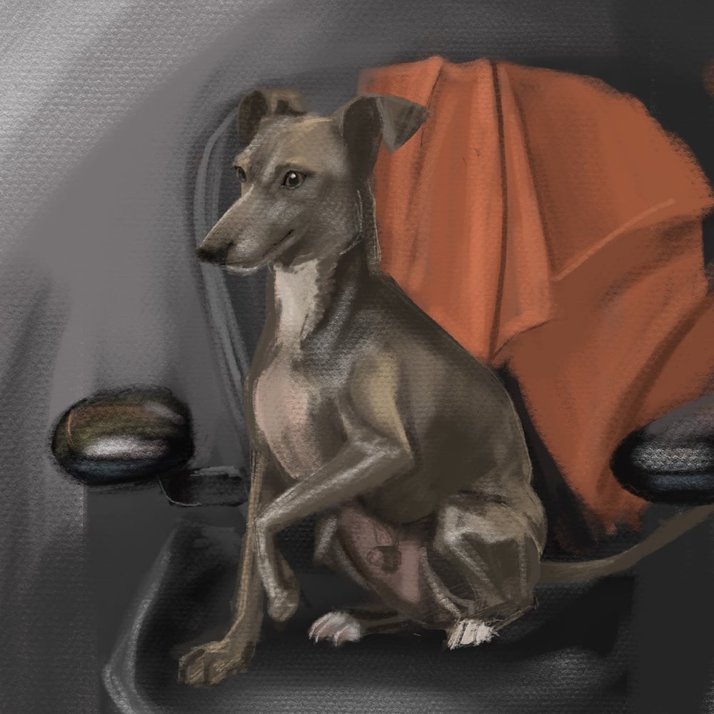 Image of Vito