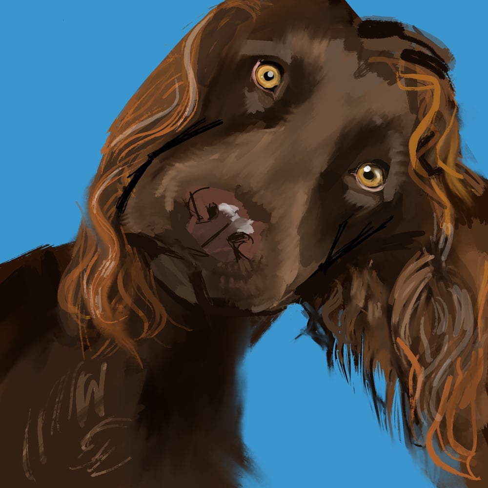 Image of Hank