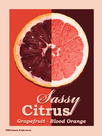 Image 2 of Sassy Citrus