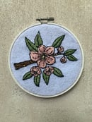 Image 1 of Pink Cherry Blossoms 5" Hoop