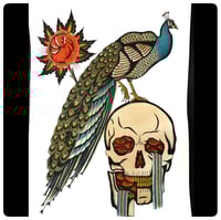 Skull & peacock 