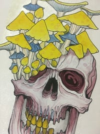 3.yellow