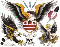 eagle flash 1