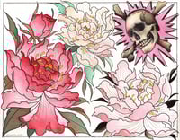 peony flash sheet
