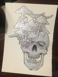 3.fade