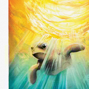 Underwater Sunset - A4 Giclée print