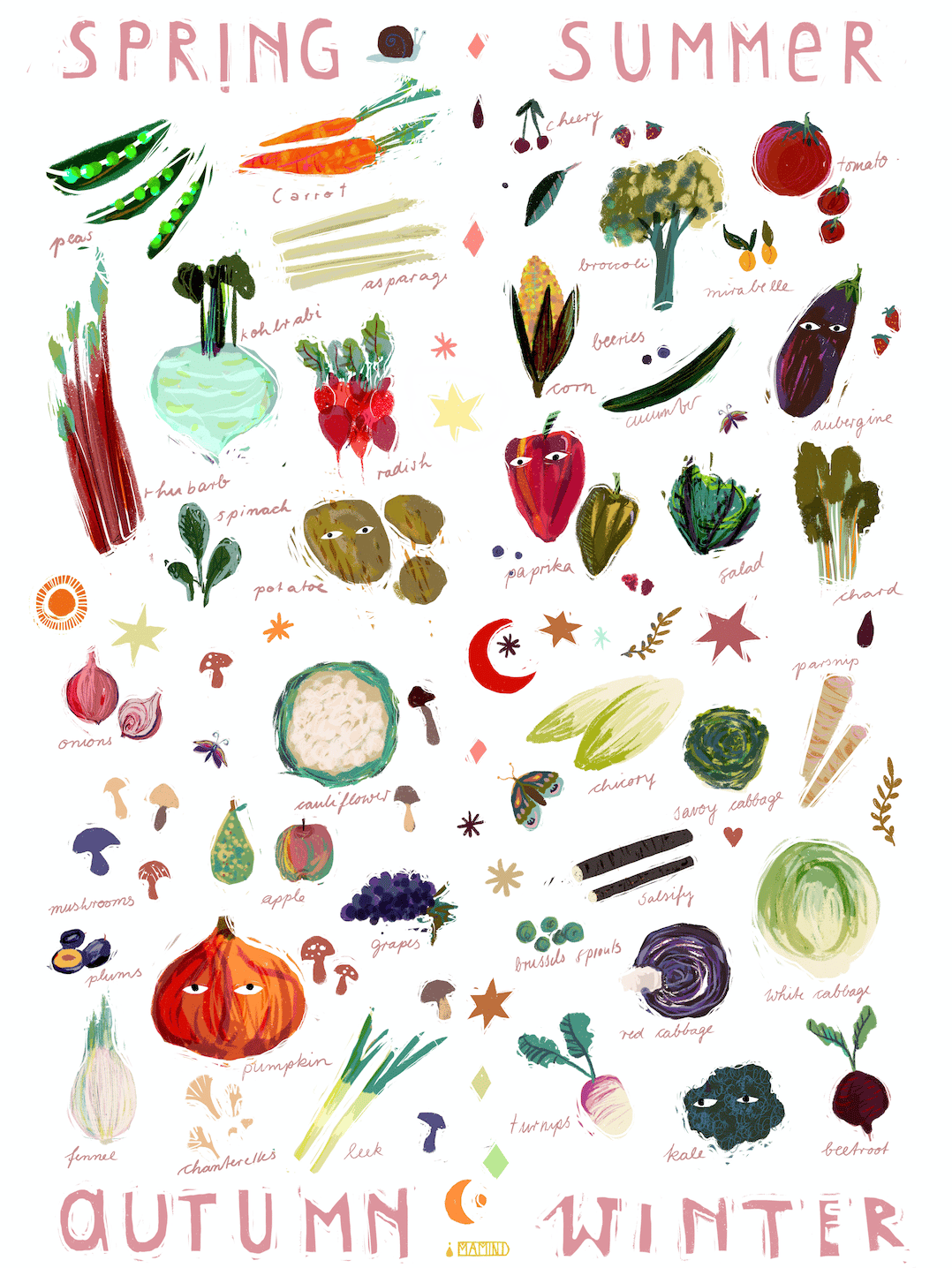 ✹ vegetables seasons calendar ✹