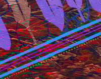 Image 2 of "Harvest on the Plains" 
