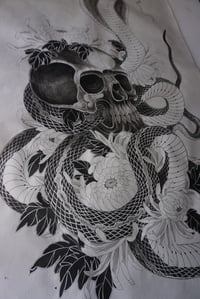 Image 1 of COBRA VIEW