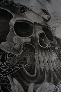 Image 4 of COBRA VIEW