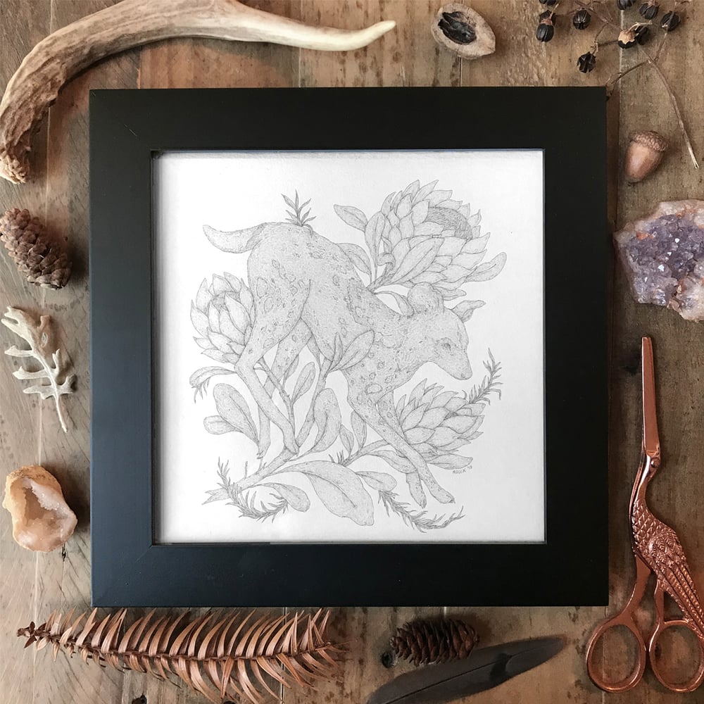 Image of African Wild Dog Original Framed Graphite Drawing