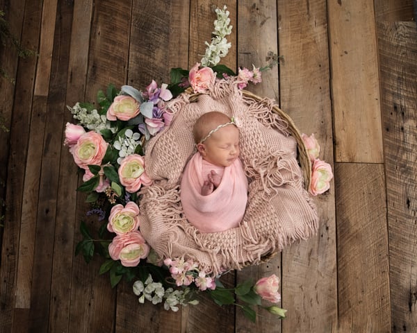 Image of Newborn Session in the Studio