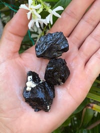 Image 1 of Black Tourmaline Crystal (Each)