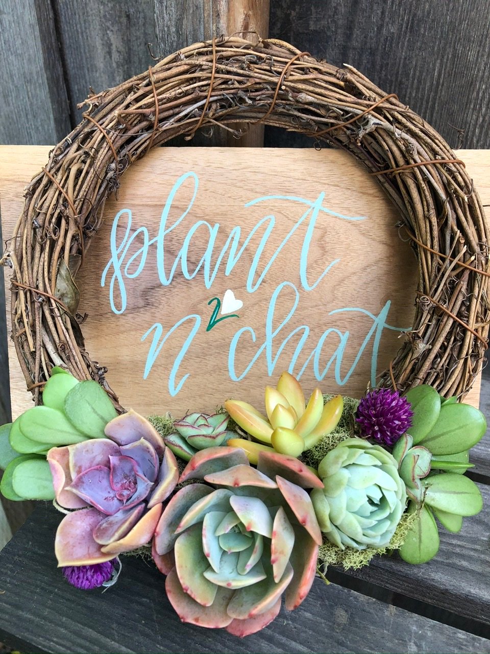 Image of Living Succulents on 10in Grapevine wreath